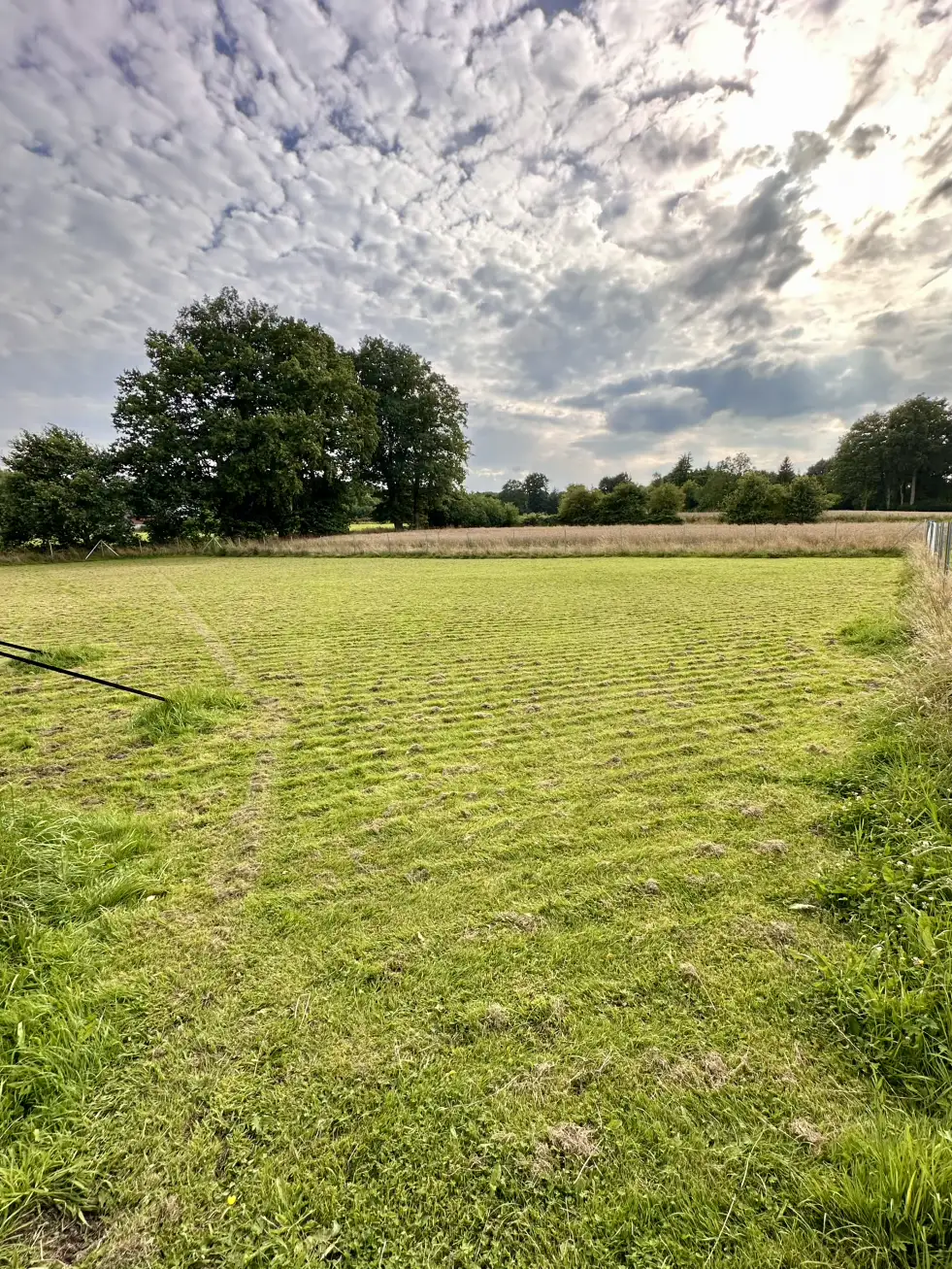 Trainingshund in natürlicher Umgebung - Hundeschule Pipapo in Ibbenbüren